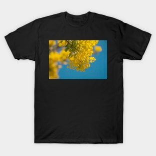 Wattle 2 T-Shirt